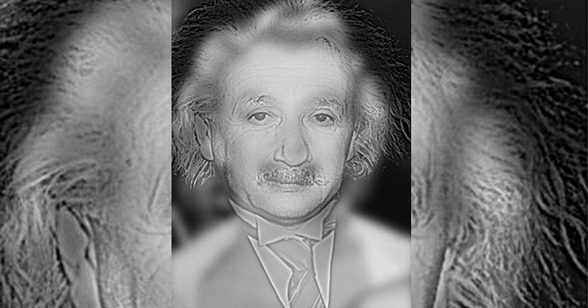 A quién ves en esta imagen: ¿Albert Einstein o Marilyn Monroe? El asombroso test