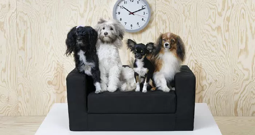 Lanzan colección de muebles para mascotas, los amantes de los animales las va..