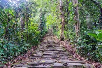 ciudad perdida3