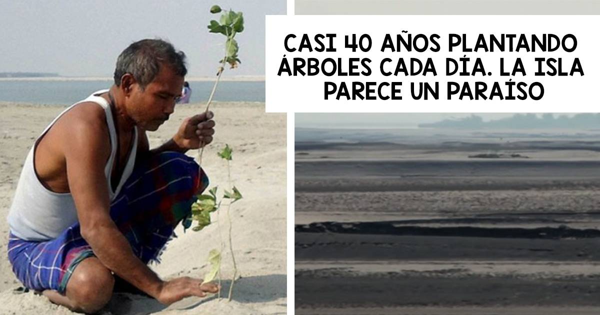 Este hombre por casi 40 años ha plantado cada día un árbol en una isla perd..